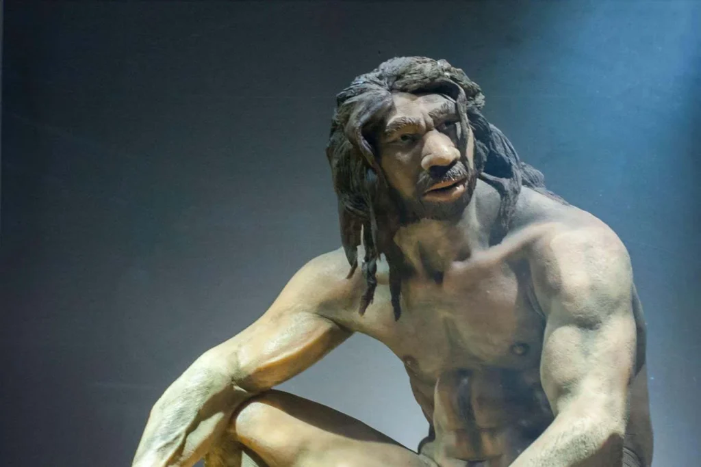 2025: Érdekes felfedezések az emberi evolúcióban 2025: Érdekes felfedezések az emberi evolúcióban