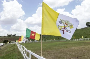 Kamerun: Szünetel a harc a pápa látogatása miatt