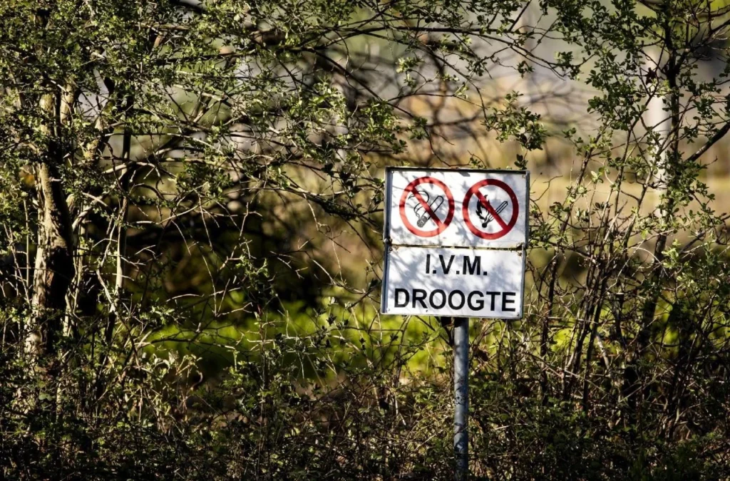 Pápai ima: legyen mindenkinek ennivaló