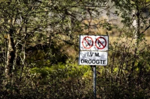 Pápai ima: legyen mindenkinek ennivaló