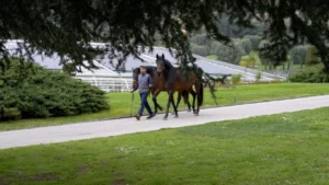Borgo Dialogues indul Castel Gandolfontól – új fórum a Földért