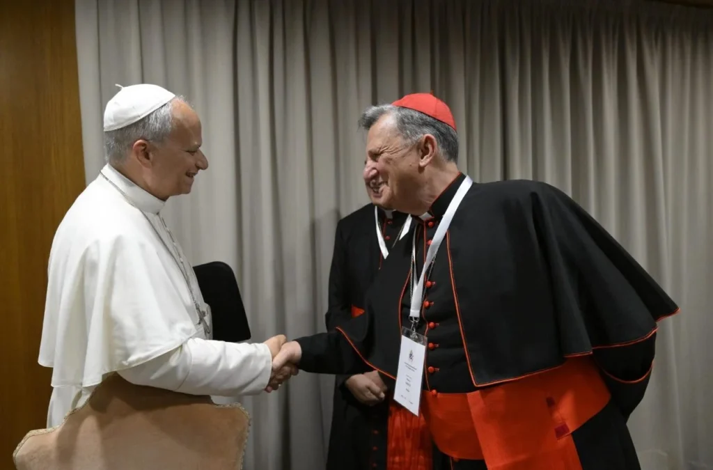 Cardinal Grech: Synod is a sign of gentle listening – Vatican News Cardinal Grech: Synod is a sign of gentle listening – Vatican News