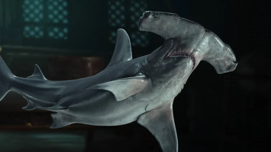 Where to find hammerhead shark bones in Assassin's Creed Black Flag Resynced