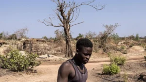 Liberia illegális bányászat elleni küzdelme: Miért fontos a PORT csapat?